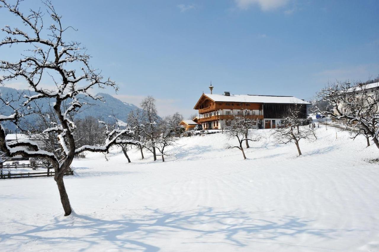 Vila Stegerbauer Kirchbichl Exteriér fotografie